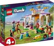 LEGO Friends 41746 Szkolenie koni 5702017415291