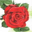 Róża serwetka 33x33 nr 336