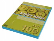 Papier ksero A4 80g 100 arkuszy niebieski 5905824020065 Hobby Art Warszawa