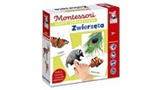 Kapitan Nauka Montessori. Karty sensoryczne. Zwierzęta 5904905917065