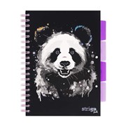 Kołozeszyt STRIGO PADS Project Book B5 kratka Panda 5905658814076 Warszawa hobby art